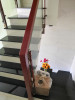 Nhà bán tại đường Nguyễn Đình Chiểu Quận 3 giá 9.2 tỷ 30 m²