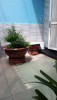 Nhà bán tại đường Võ Thành Trang Quận Tân Bình giá 10.3 tỷ 64 m²