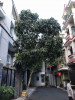 Nhà bán tại đường Cộng Hòa Quận Tân Bình giá 4.78 tỷ 25.2 m²