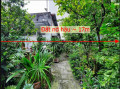 Nhà bán tại đường Nguyễn Thái Sơn Quận Gò Vấp giá 14 tỷ 459 m²