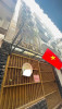 Nhà bán tại đường Lê Thánh Tôn Quận 1 giá 19 tỷ 50.4 m²