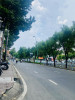 Nhà bán tại đường HoàNg Sa Quận Tân Bình giá 16.79 tỷ 169.5 m²
