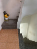 Nhà bán tại đường Nguyễn Phúc Nguyên Quận 3 giá 3.9 tỷ 29.6 m²