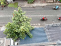 Nhà bán tại đường Phạm Văn Chiêu Quận Gò Vấp giá 11 tỷ