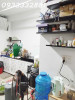 Nhà bán tại đường Lạc Long Quân Quận Tân Bình giá 5.8 tỷ 44 m²